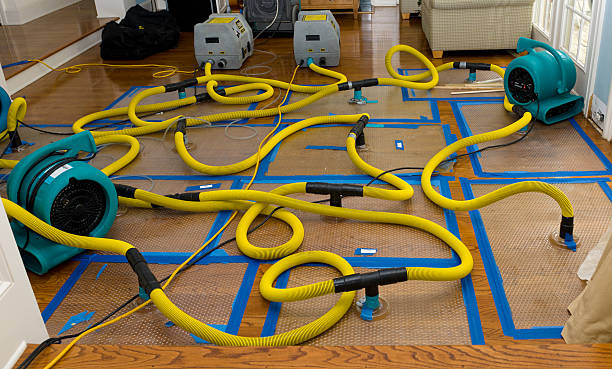 Professional Flood Damage Restoration technician working in Hauppauge, NY